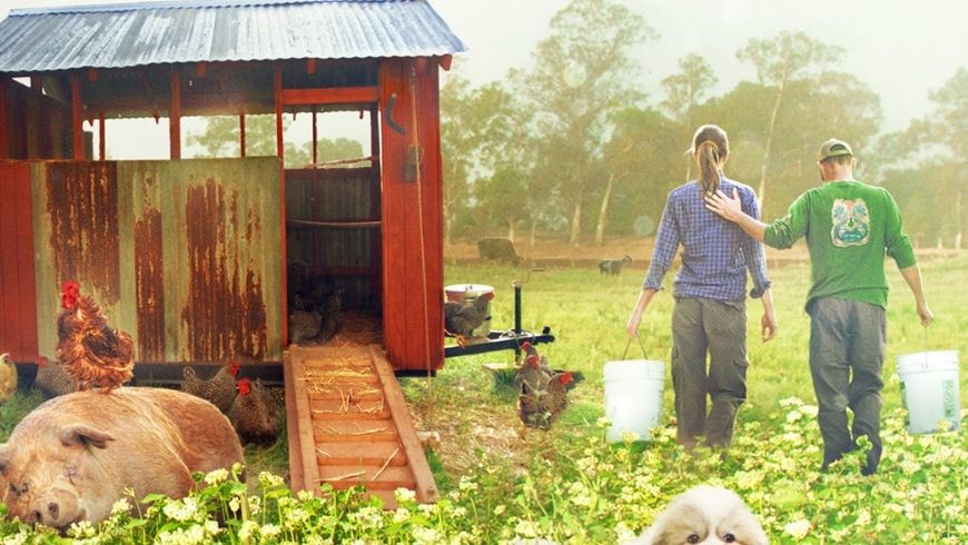 The Biggest Little Farm