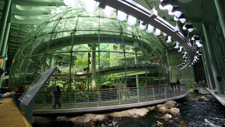 Inside the Top Green Museum in the World