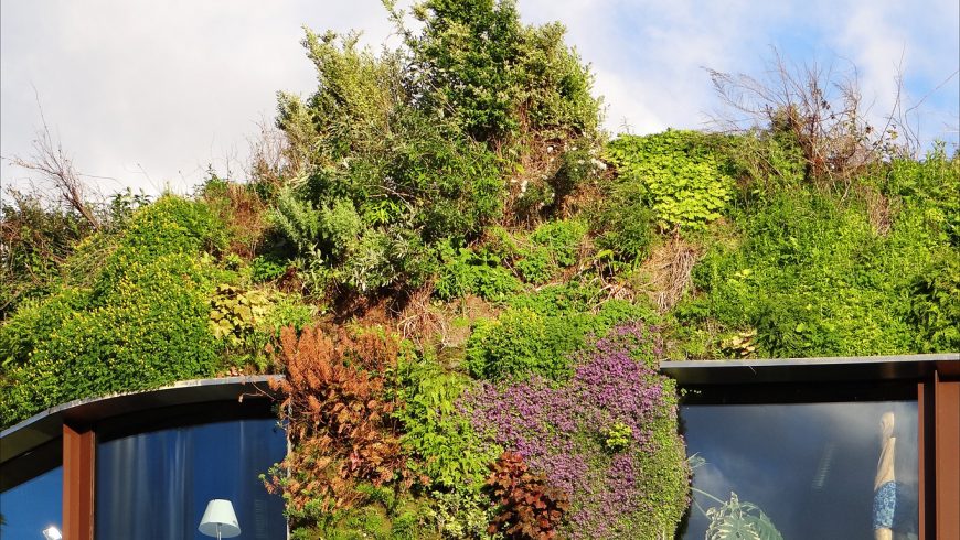 Green Museum Quai Branly in Paris