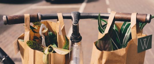 following Eco-friendly Shopping Tips: shopping by bike with reusable bags