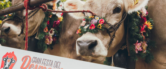 The Great Desmontegar festival is back: let's celebrate transhumance in Primiero!
