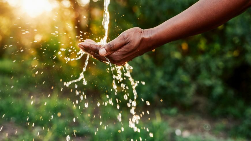 conserve water