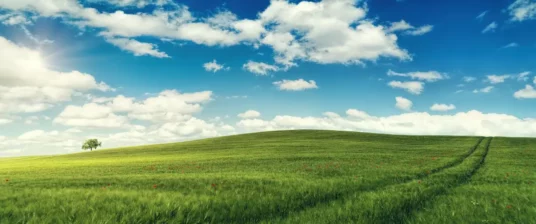 Picture of a green hill