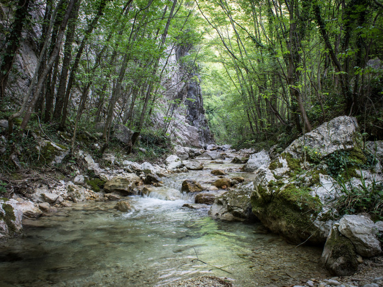 The Fosso dell'Eremo stream