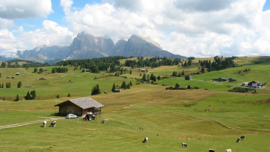 Alpi di Siusi, Sassolungo, photography by Tom Ayres, via Flickr