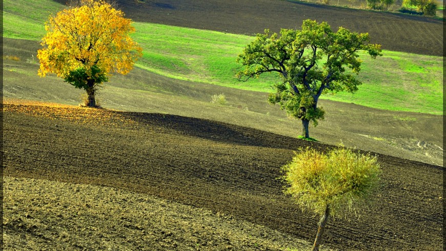 San Severino Countryside, Italy, ph. by gigi 62, via flickr