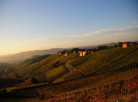 Sunset over Barbaresco village and vineyards