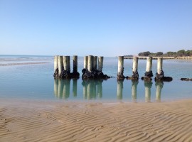 eco/friendly beaches in Italy: Bibione, Venice