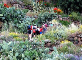 Trekking in Alicudi