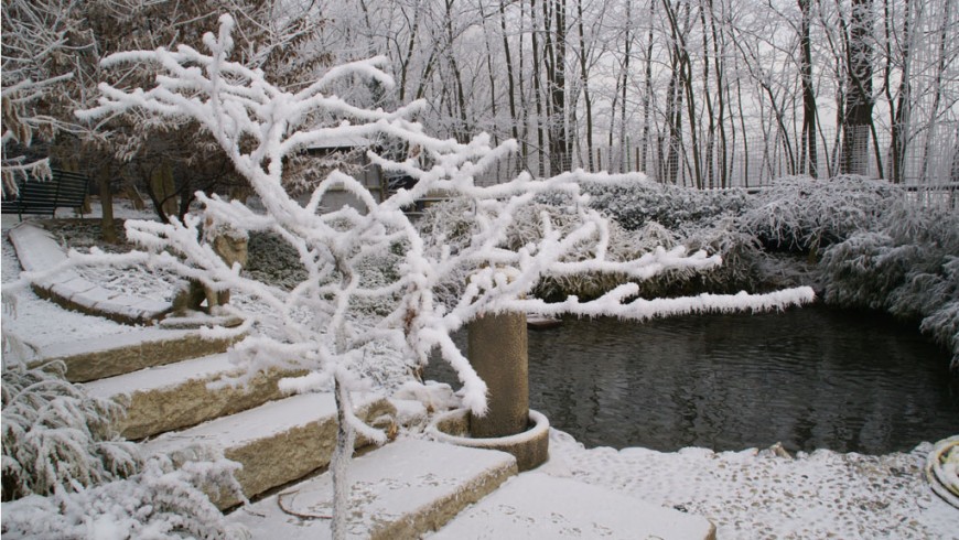 Bio-pool in winter, Italy