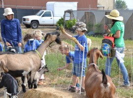 Kids' farm