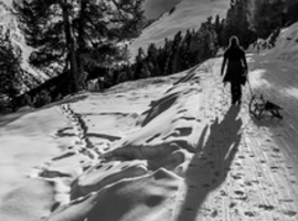 Tobogganing in Praxmar by galvanol via Flickr
