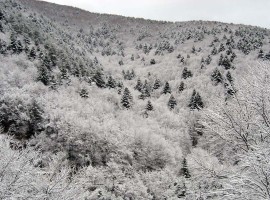 Sila National Park, Calabria, in winter