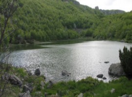 The lake