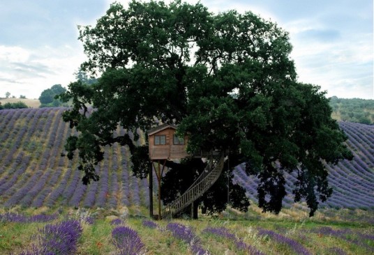 Treehouse in the Organic Farm La Piantata, Viterbo, Italy