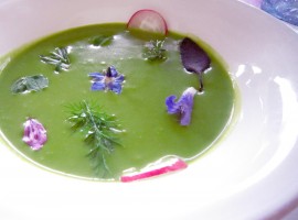 Vegan food at Agritourism Coroncina, Belforte del Chienti, Macerata, Italy