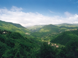Nature in Val di Taro, Parmesan Apennines