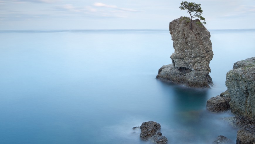 Portofino natural regional park. Lonely pine tree rock and coastal cliff beach. Long exposure photography. Liguria, Italy