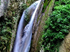Molina Falls
