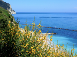 B&B Campo del Mare