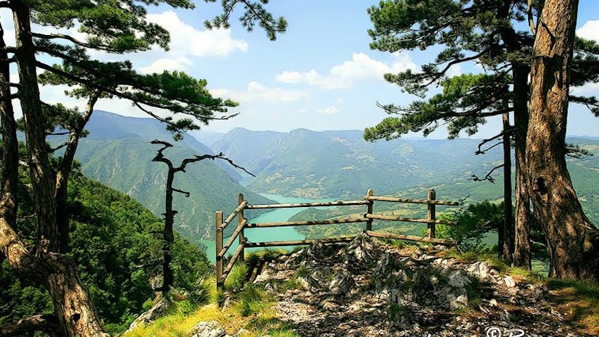 National Park of Tara MTB Tour
