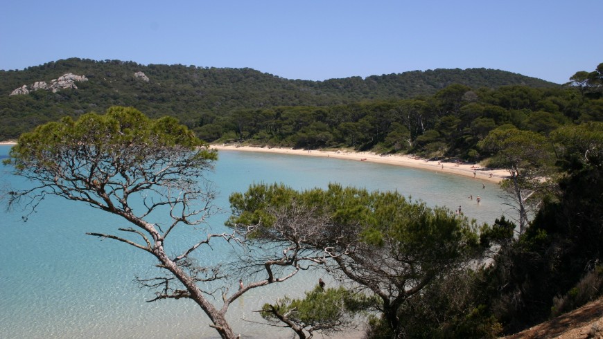 To the discovery of Porquerolles by bike