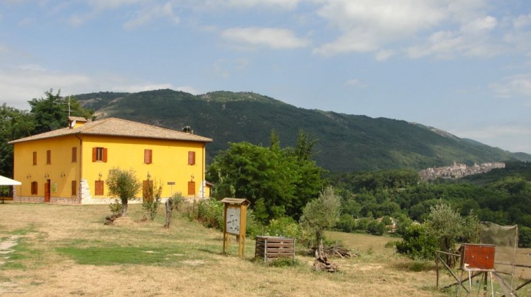 Organic Farm La Sonnina in Lazio