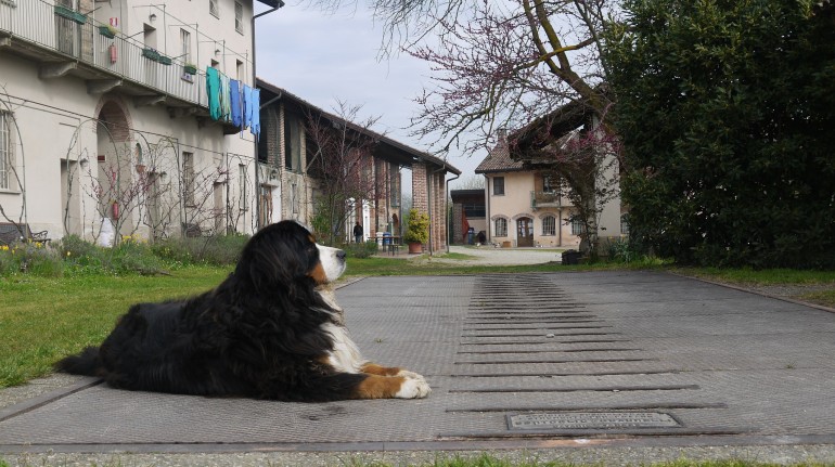 Cascina Santa Brera, perfect for farm holidays in Lombardy 
