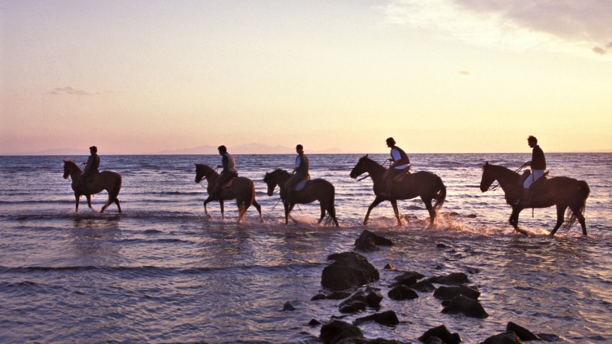 Horseback holidays in the Maremma's sea
