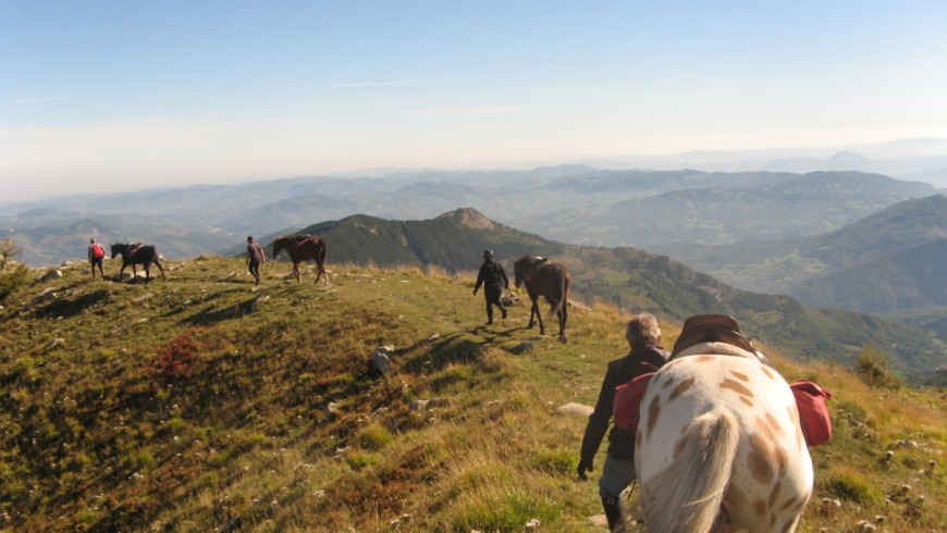 Horseback holidays in Bologna Apennine