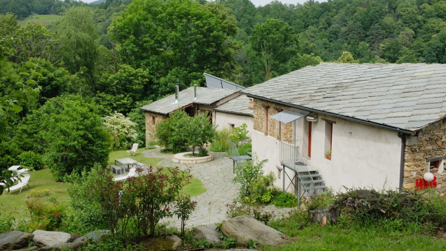 A house in the woods in Piedmont