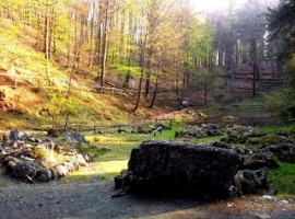 Alpine Garden of Pietra Corva
