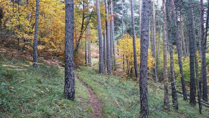 Occitani Trails