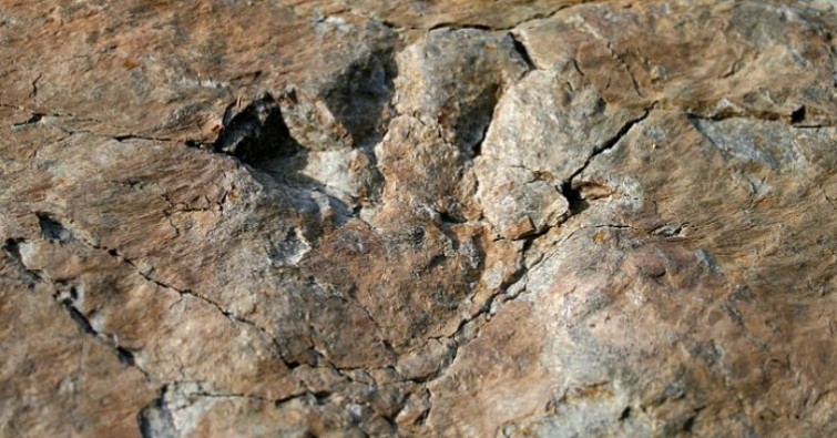 Footprints of dinosaurs in Maira Valley