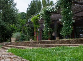 Five your mom an holiday in a wonderful accommodation near Rome for mother's day