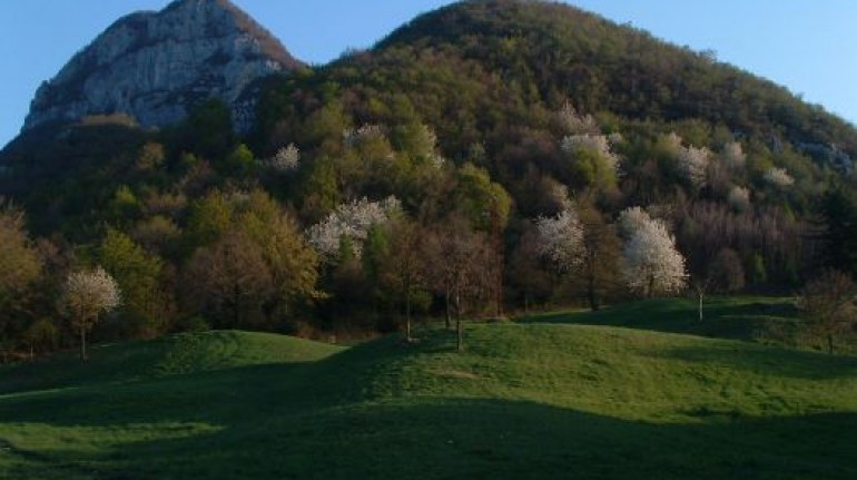 Natural Park of Lessinia