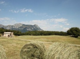 Organic Farmhouse in Trentino South Tyrol