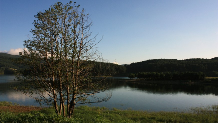 Sila National Park