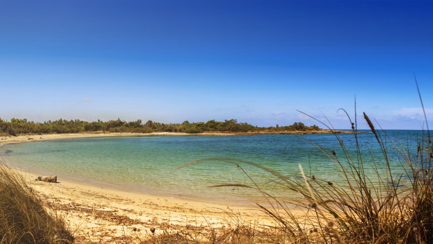 Natural Reserve Torre Guaceto, Puglia