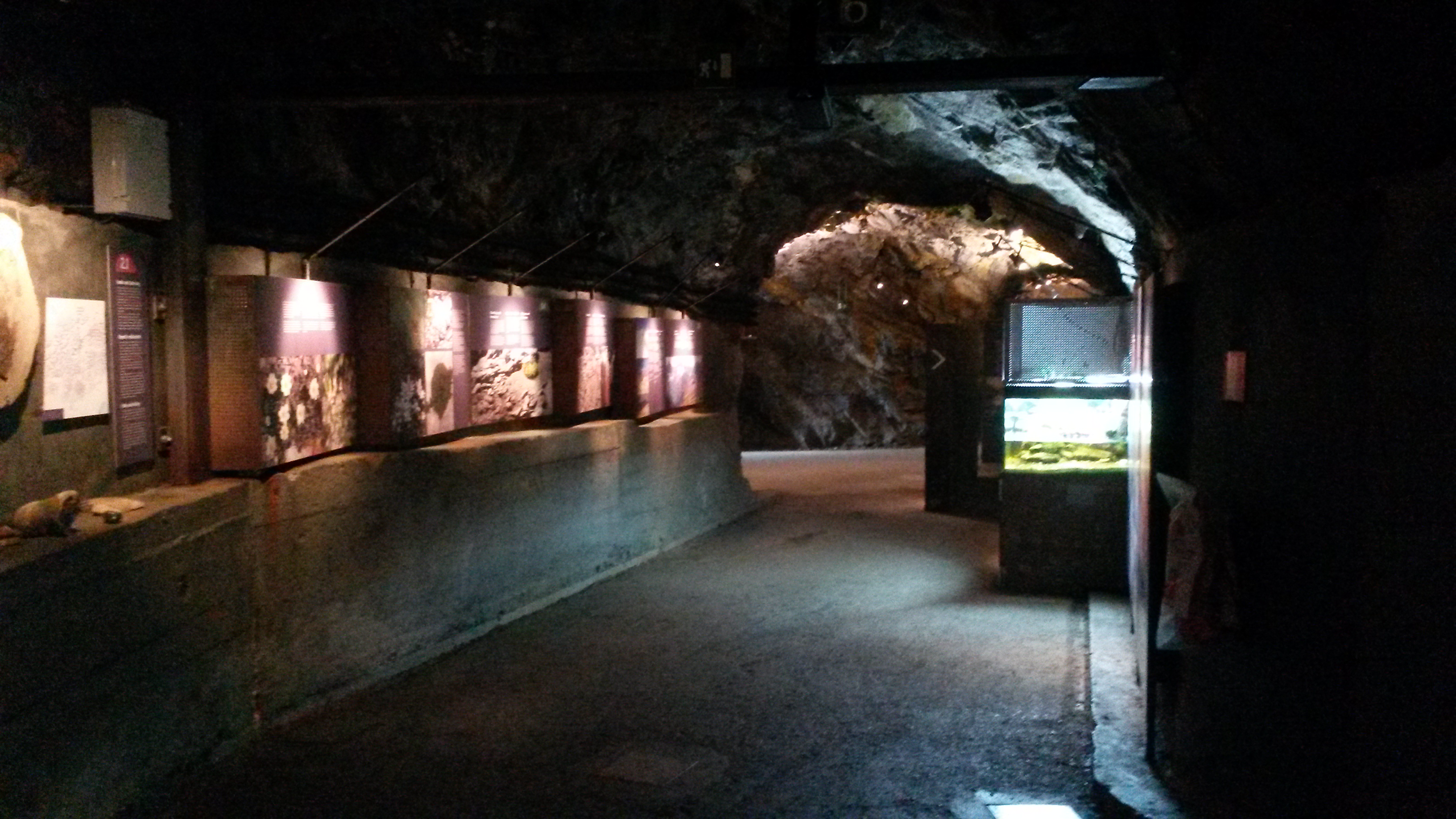 Bunker Mooseum, Passeiertal