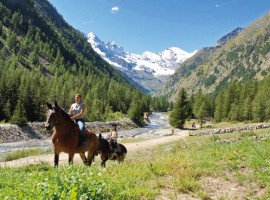 Discovering Valle d'Aosta region