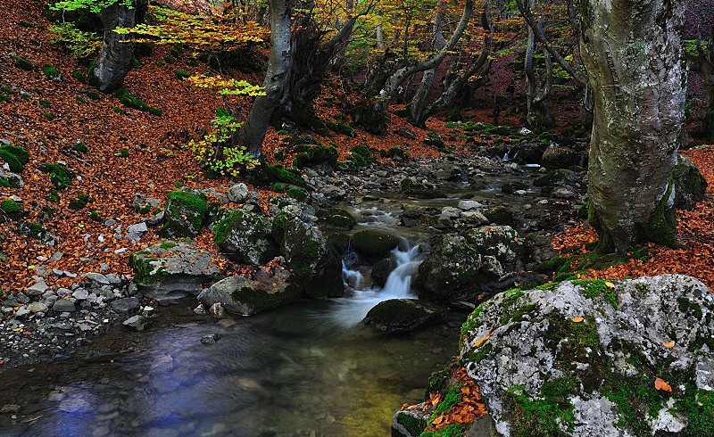 Faedo de Ciñera (León)