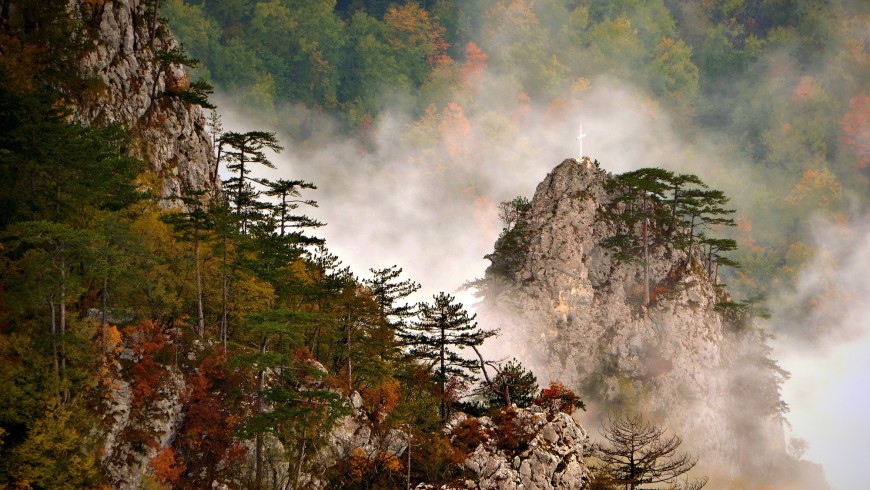 Foliage in Serbia