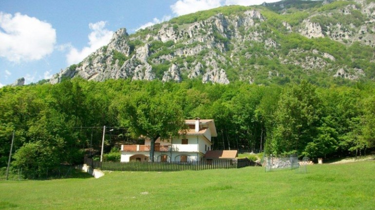 Eco-hotels to discover the wonders of the forest