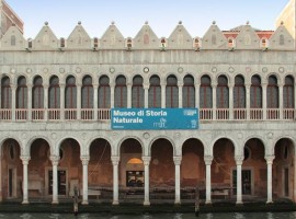 Museo storia Naturale in Venice