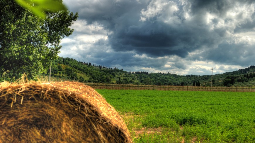 Country holidays in Tuscany
