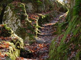 Pyramid of Bomarzo: a special place of Roman Tuscia