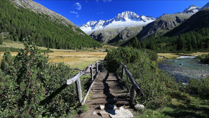 Mountain bike in the Adamello Brenta Nature Park
