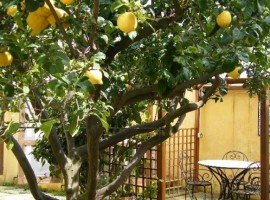 Low-cost holiday in Sardinia