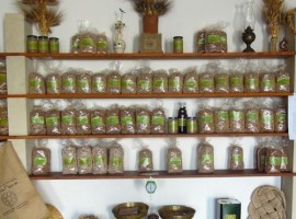 Organic farm in Salento